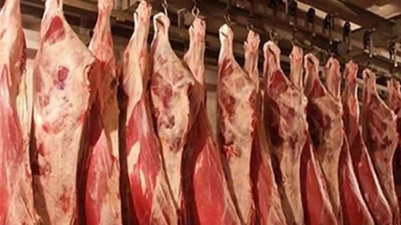 شعبة القصابين تربط استقرار أسعار اللحوم بتوافر الأعلاف وتقلبات سعر الدولار